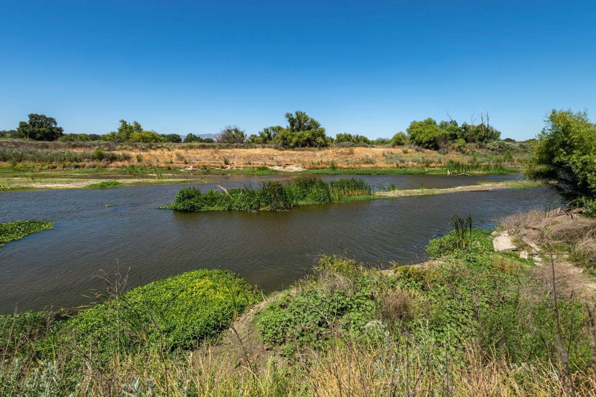 San Joaquin River from the new Confluence Trail at Dos Rios